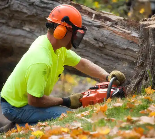 tree services Suffern